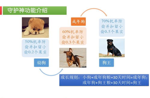 農(nóng)場(chǎng)系統(tǒng)農(nóng)場(chǎng)app開發(fā)定制 專業(yè)開發(fā),品質(zhì)保障