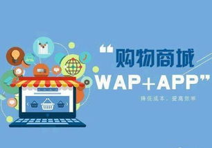 常州專(zhuān)業(yè)開(kāi)發(fā)app公司分析電商app開(kāi)發(fā)解決方案